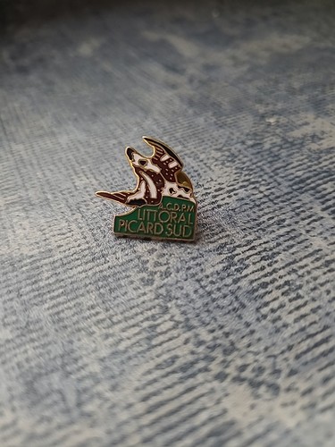 Pins chasse canard - canard, picardie