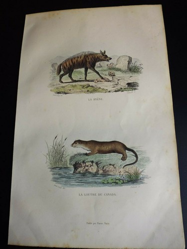 Gravure couleur