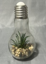 Aloe Vera Faux Succulent Glass