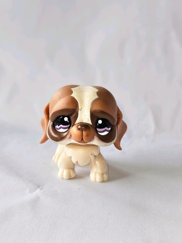 Pet shop chien saint - chien,