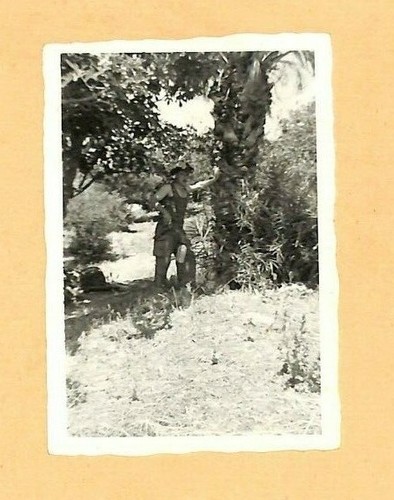 Guerre algerie photo - photo, /