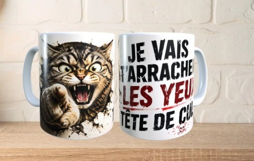 Mug humour chat vais - mug,