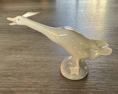 Superbe oie oiseau - oie, en