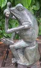 CURIOSITÉ GRENOUILLE