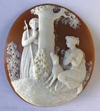 19è CAMEE COQUILLAGE. SCENE