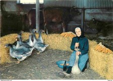 Animaux - Oiseaux - Oies - Gaveuse d'Oies - Geese - CPM - Voir Scans Recto-Verso