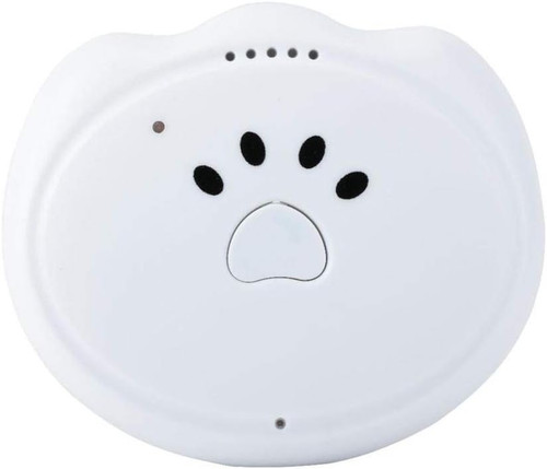 Gps tracking pet - pet, dog