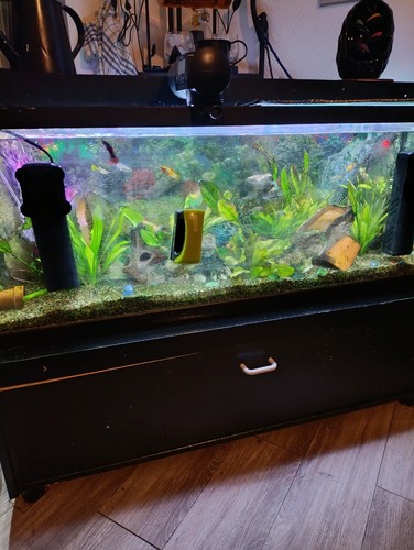 Aquarium complet 120 - , litres