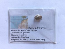 Rare Météorite Maroc NWA 7831 2013 0.81g