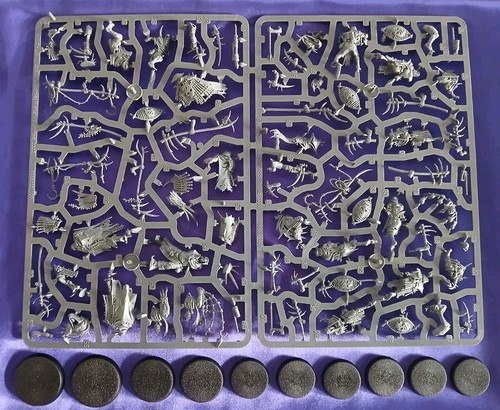 Rotmire Creed Unit (10)