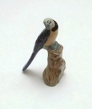 magnifique perroquet en