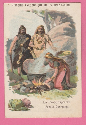Image chicorée williot - chicorée, la