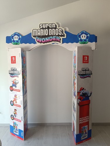 Plv totem super mario - super, bros