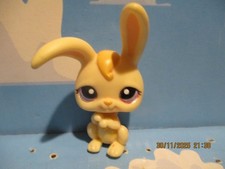 PETSHOP LAPIN DE GARENNE