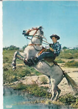 Carte postale postcard 10X15cm CAMARGUE gardian cheval capture dressage 1963