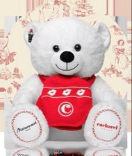 OURS EN PELUCHE BLANC AVEC