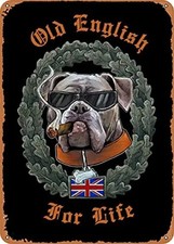 Old English Bulldog Vintage