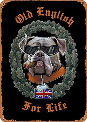 Old english bulldog vintage - old,