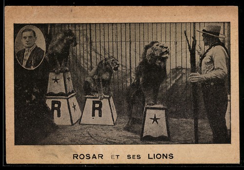 Carte postale dompteur - carte,