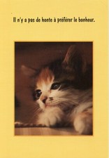 CPSM / CARTE POSTALE / CHAT / CAT // PHOTO TIB //  TEXTE JL  AUBERT