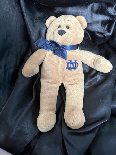 Notre dame teddy bear football - notre,
