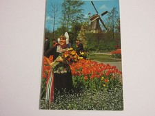 CP CARTE POSTALE PAYS-BAS MOULIN TULIPES et PARURES de FLEURS - Ecrite en 1977