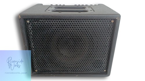 Aer guitar amp - aer,