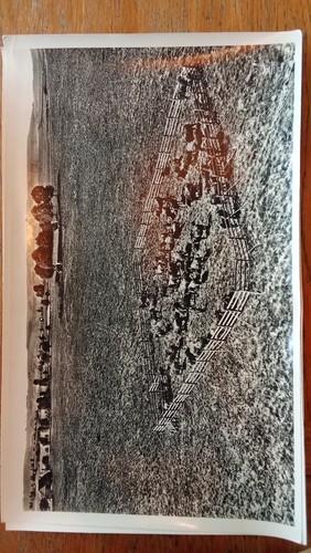Ancien photo documentation - ancien,