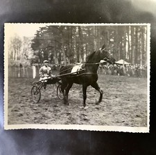 Photo Cheval Trotteur De  Robert De Rozycki Course Hippique Horse Racing 19473