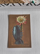 CPA Jardins Exotiques De