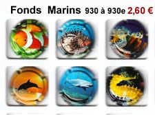 CAPSULES DE CHAMPAGNE