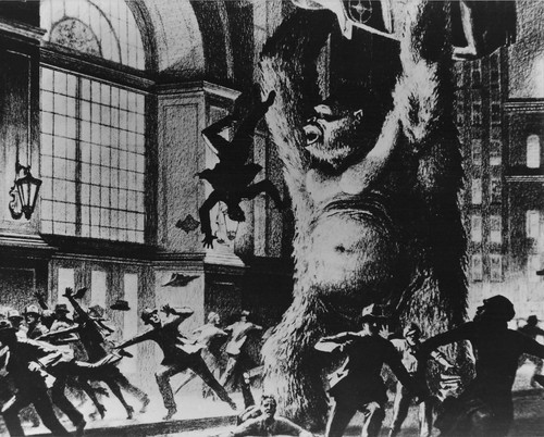 King kong photo - kong,
