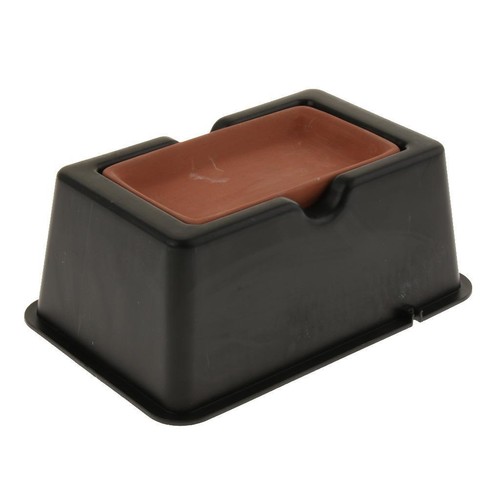Terrarium humidification de - d'humidification,