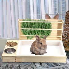 Mangeoire à Foin En Bois Pour Lapin, Support à Foin Pour Hamster Nain, Cochon