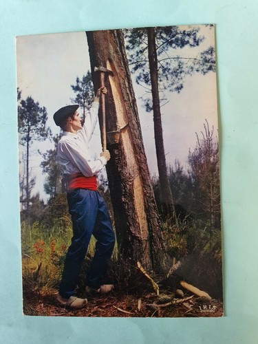 Carte postale des - postale,