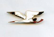 AVIATION  Escadron  de Chasse