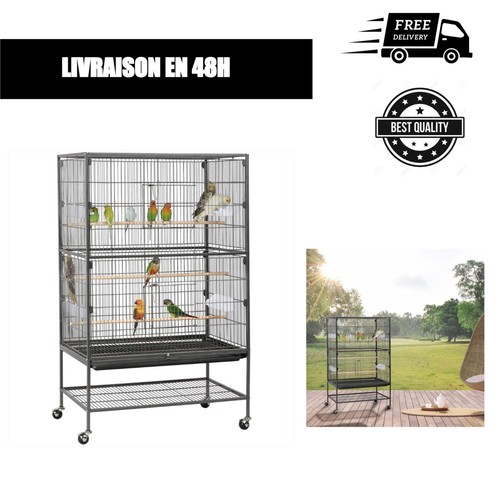 Grande cage oiseaux sur - cage,