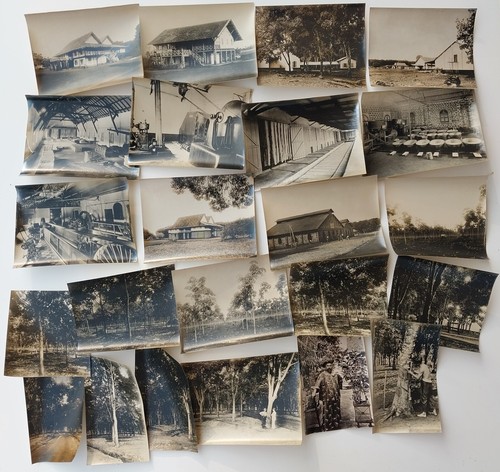 Lot photos plantation de - lot, 23