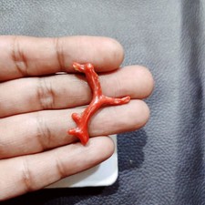 VENTE Italie branche de corail