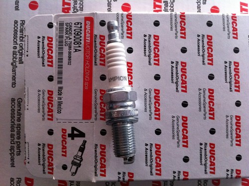 Bougie allumage ducati - d'allumage,
