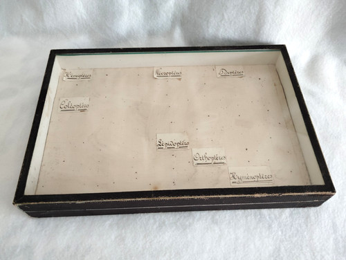 Ancienne vitrine boite - vitrine,