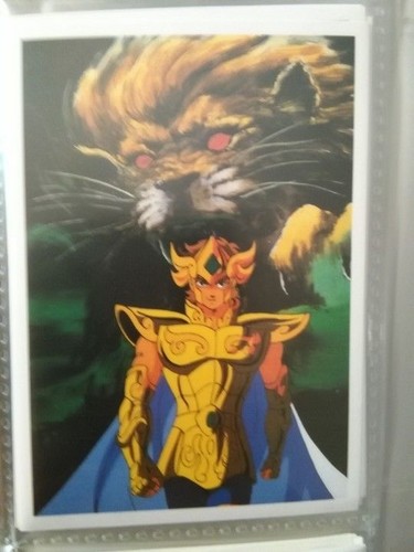 Saint seiya chevaliers - saint,