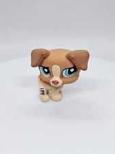 Chiot #1302, Littlest Pet