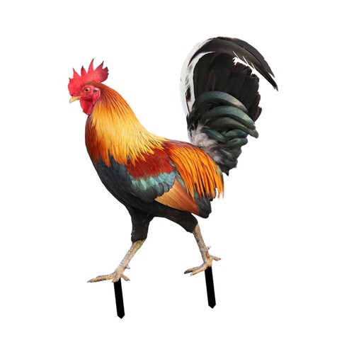 Statue coq métal - de,