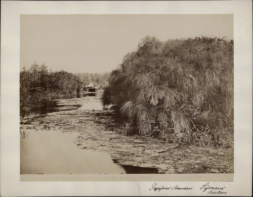 Italie sicile palerme - italie,, sicile,