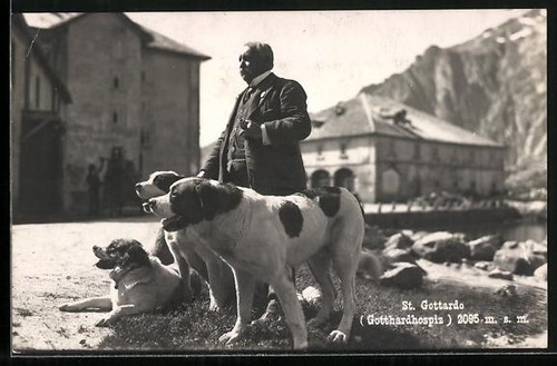 Saint gottardo seigneur - saint-gottardo,,