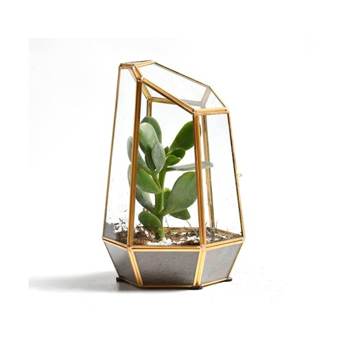 Golden geometric glass - golden,
