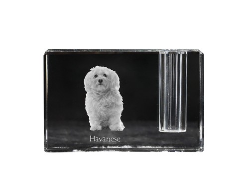 Bichon havanais porte stylo - havanais, porte-stylo