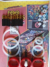 FLIPPER STERN-FOO FIGHTERS