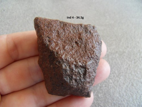 Meteorite nwa 14805 - nwa,